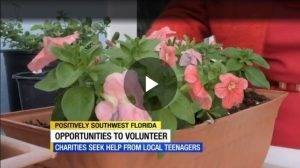 Client Headlines - Volunteer Opportunities