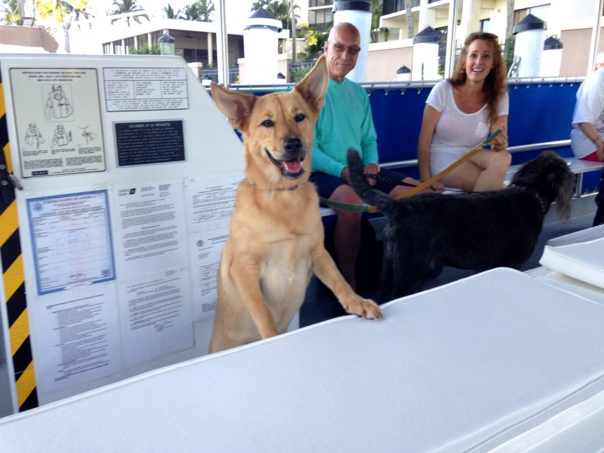 couple on a boat laughs as dog smiles at camera